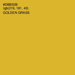#DBB52B - Golden Grass Color Image